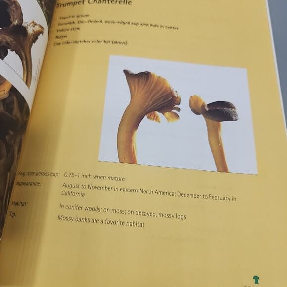 Mushrooming Without Fear: The Beginner's Guide to Collecting Safe & Delicious PB - Picture 13 of 16